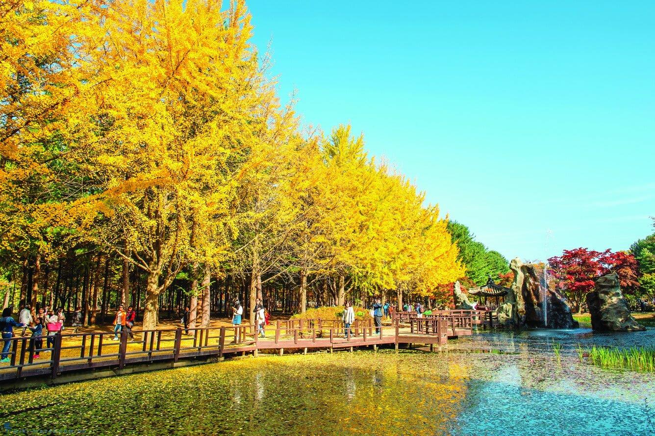 TOUR 5N4Đ HÀN QUỐC MÙA THU: HÀ NỘI - SEOUL - NAMI - EVERLAND - RỪNG SEOUL - HÁI TÁO (đi tối về tối bay VN)